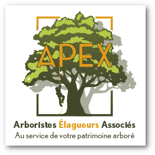 apex-elagage